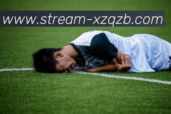 新足球直播服务体系